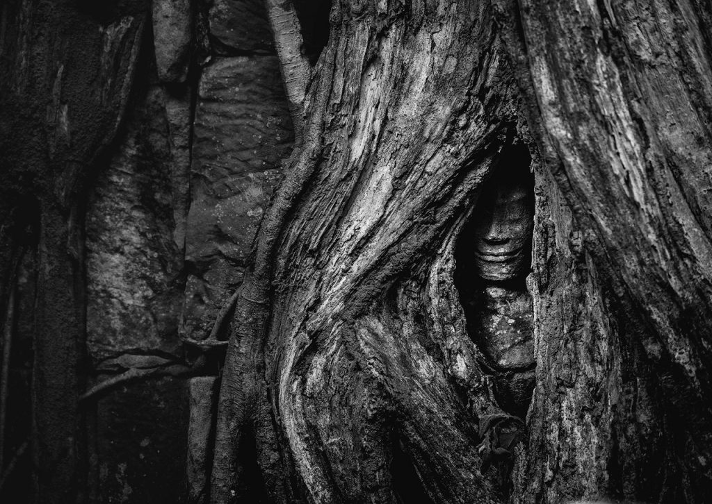 Hidden Apsara in Ta Prohm