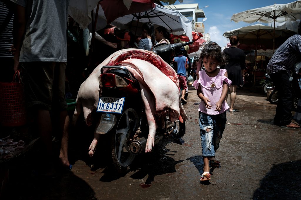 girl and butchered pig in a Cambodian market