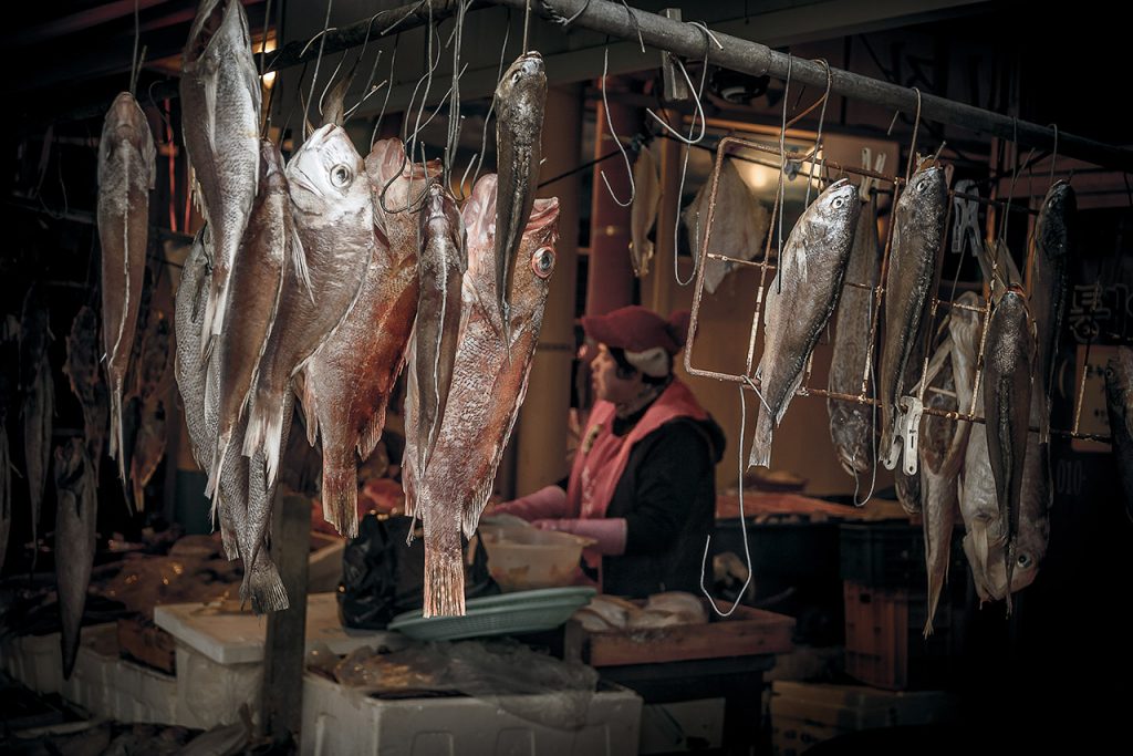 Woman working in fish market, South Korea